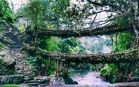 Double-Decker Bridge